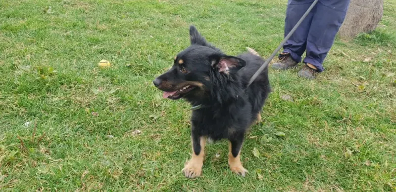 Max