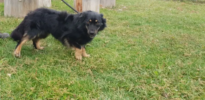 Max
