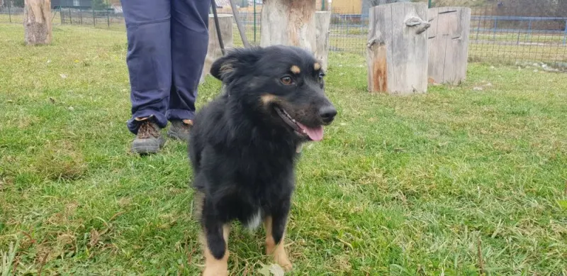 Max