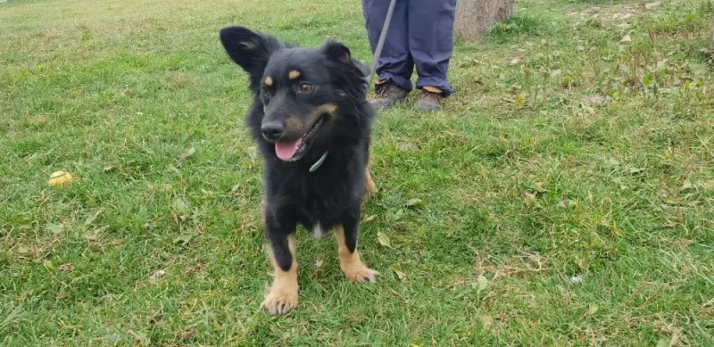 Max
