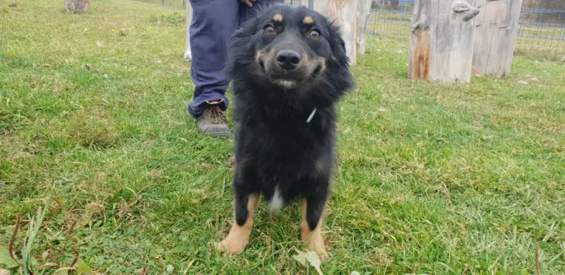 Max