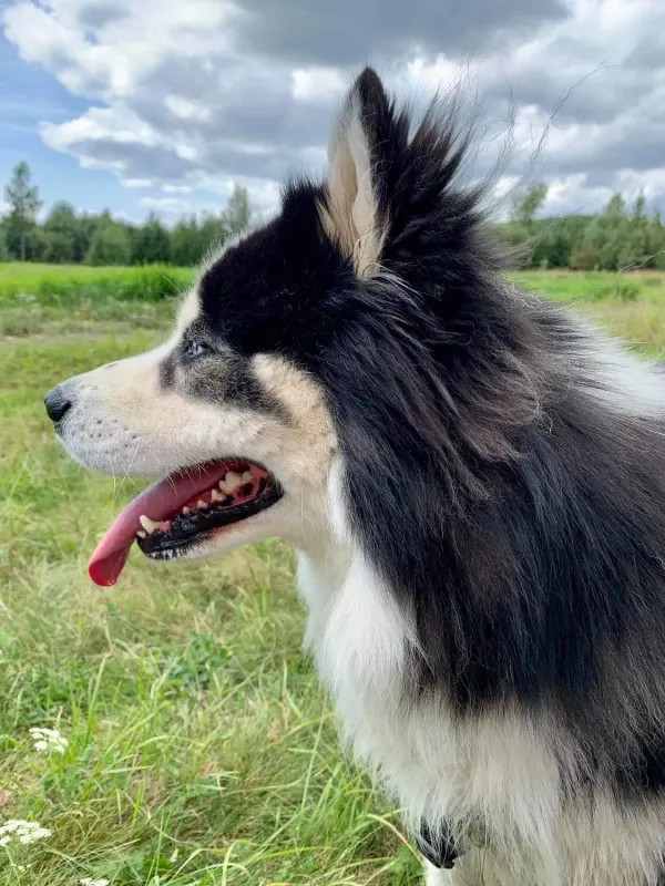 Max