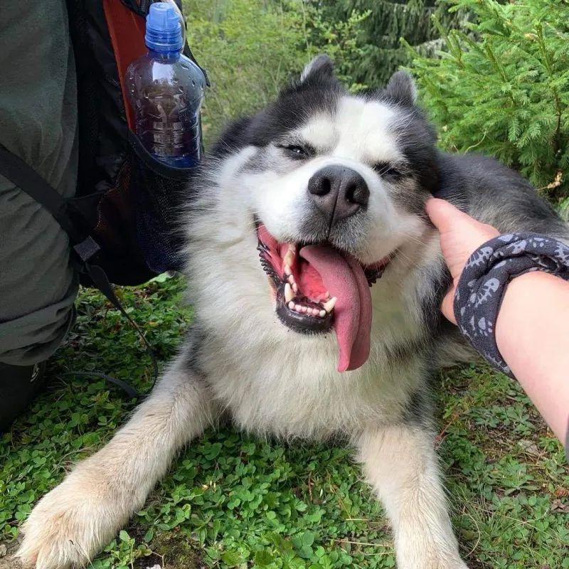 Max