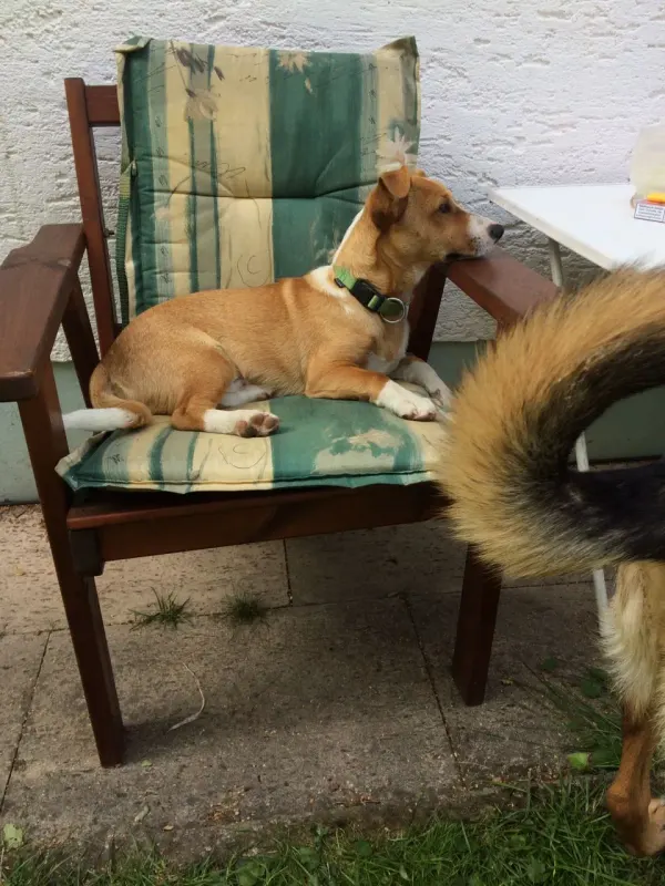 Max