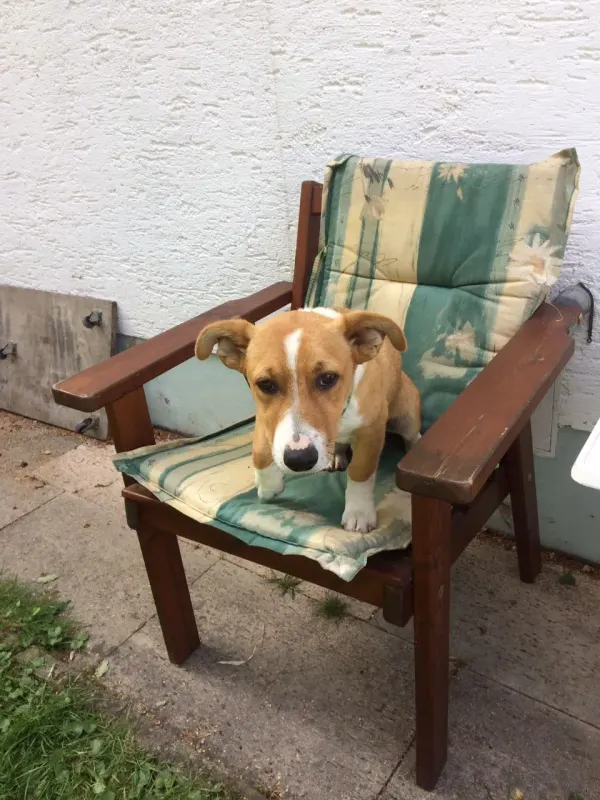 Max