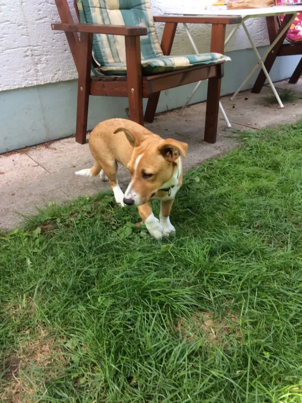 Max