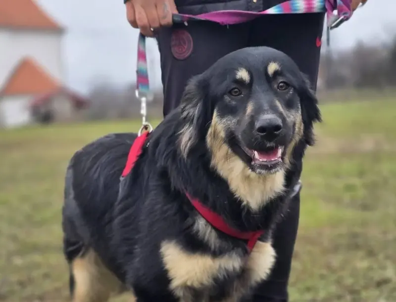 Foto von Merry