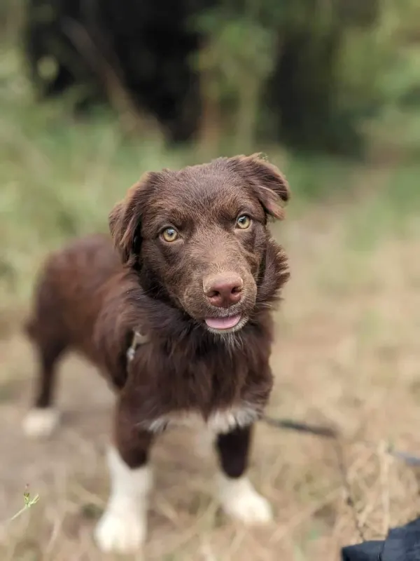 Mia