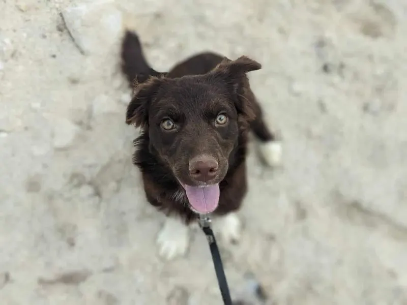 Mia