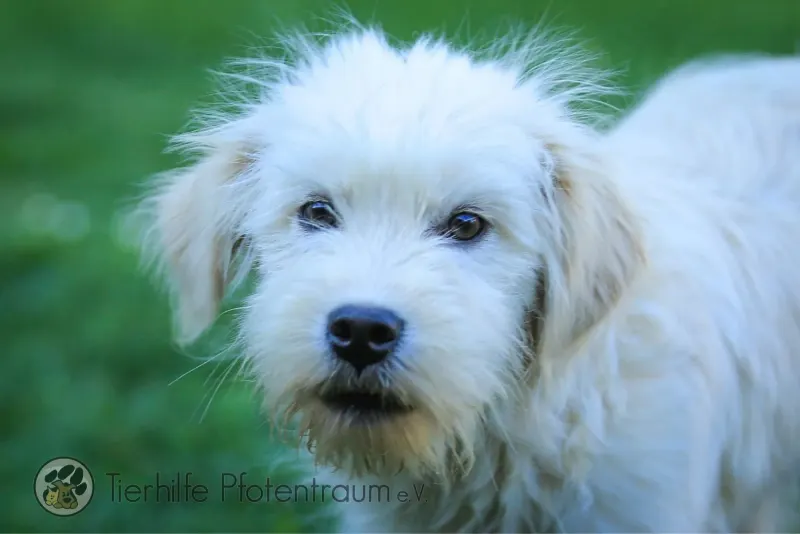 Milly