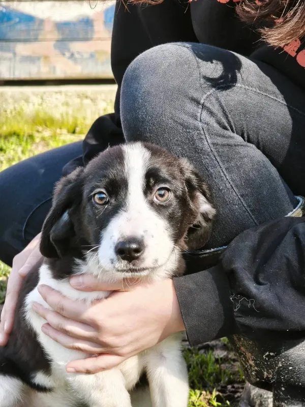 Foto von Mimi