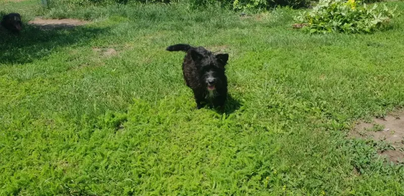 Molly