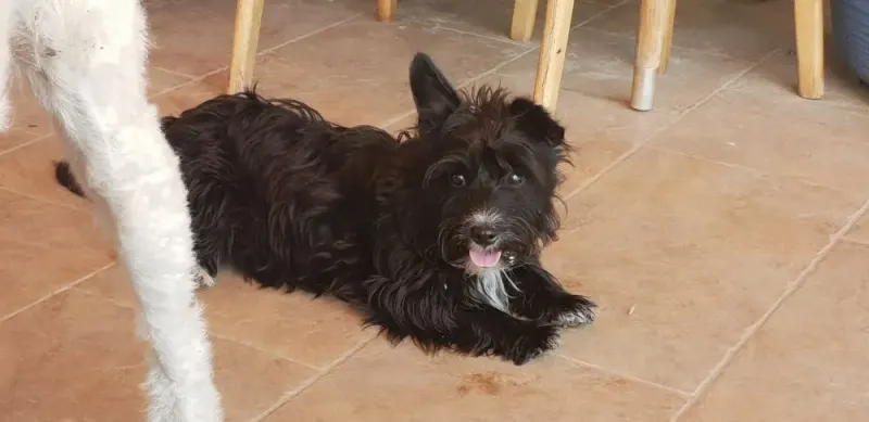 Molly