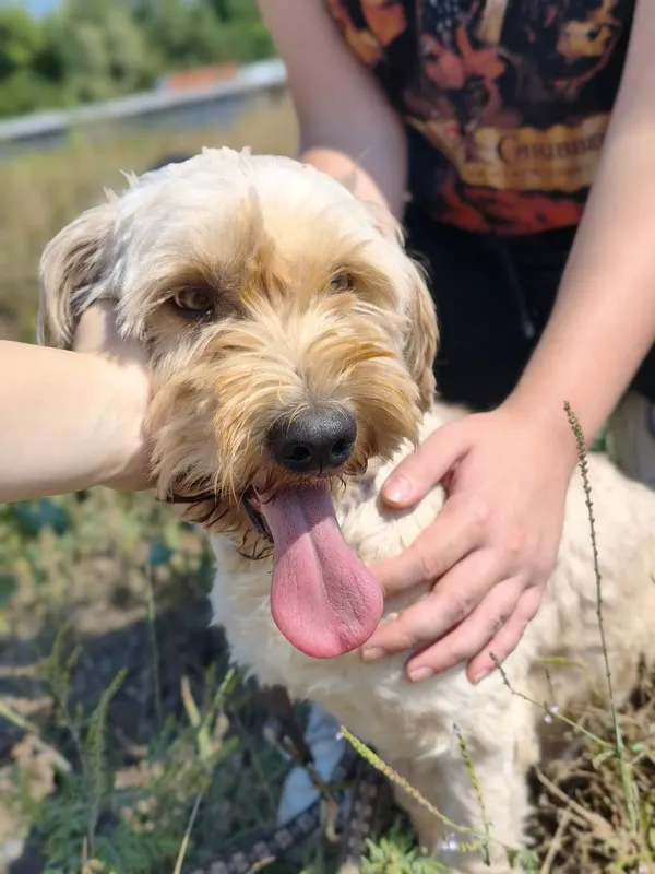 Foto von Monty