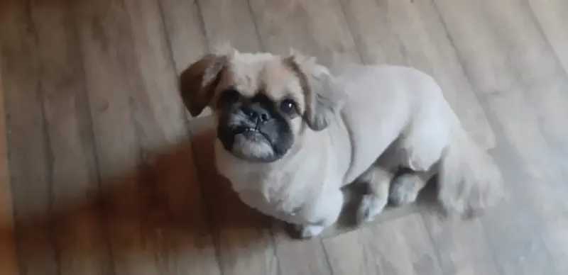 Monty
