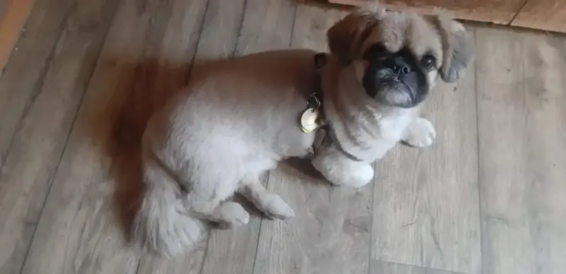 Monty