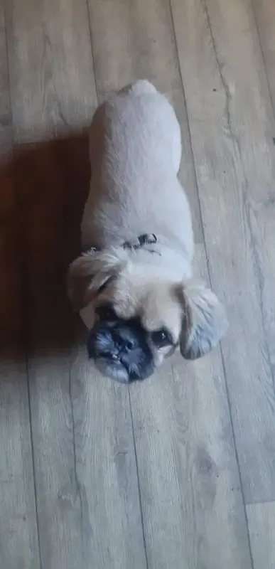 Monty