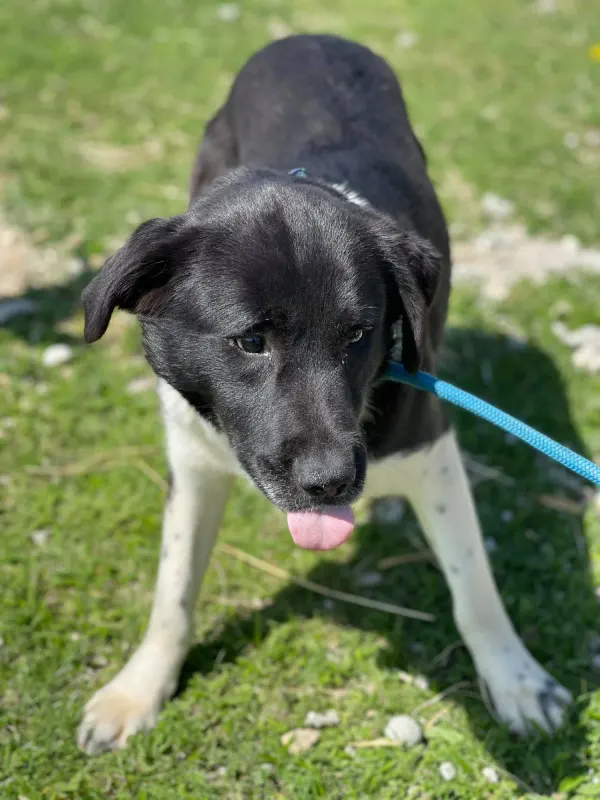 Muki