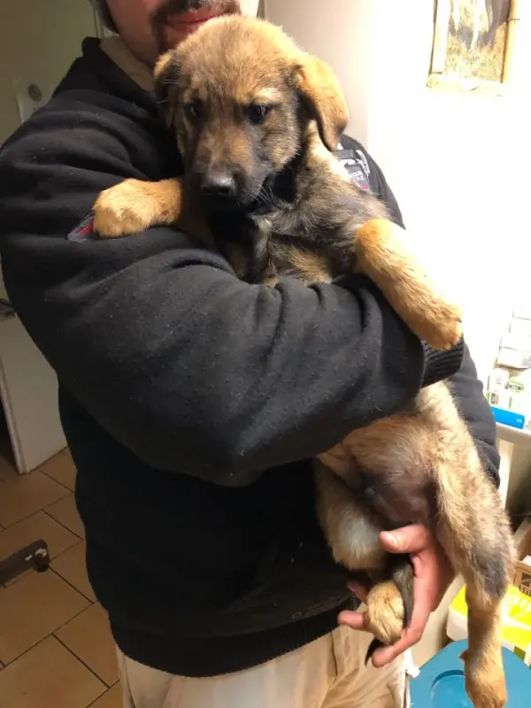 Nacho