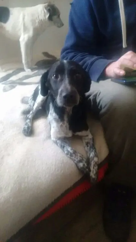 Nelka