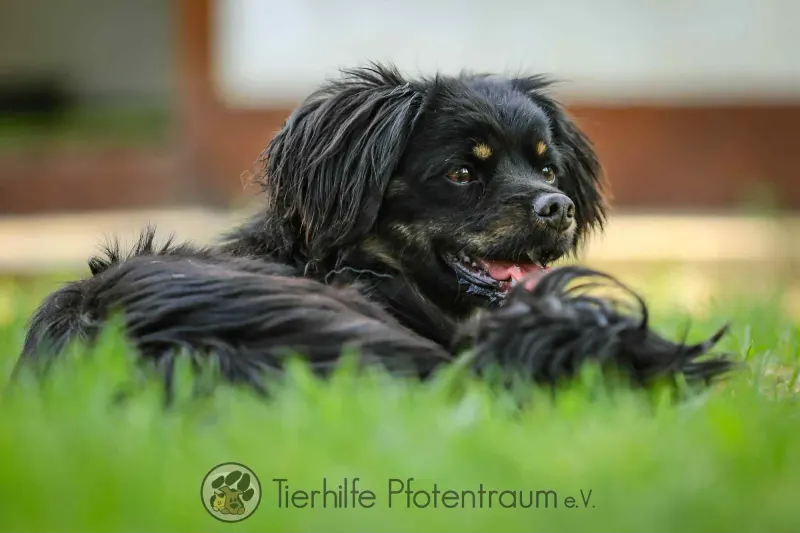 Nella