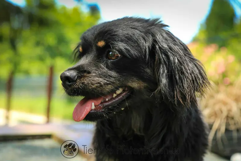 Nella