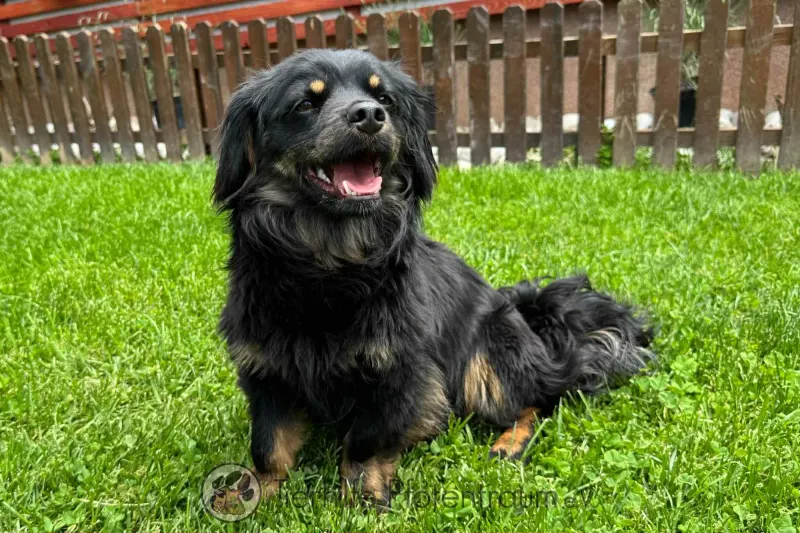 Nella