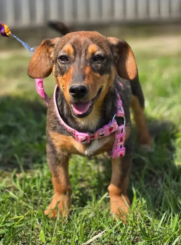 Nella