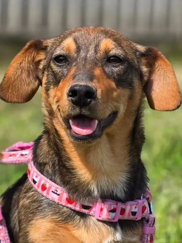 Nella