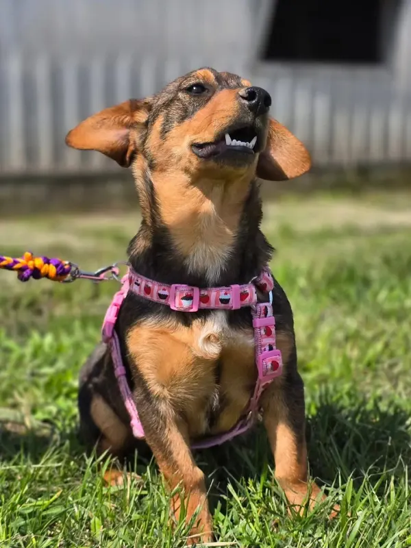 Nella