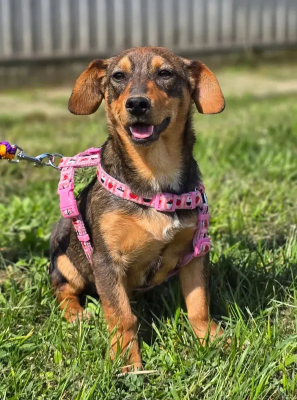 Nella
