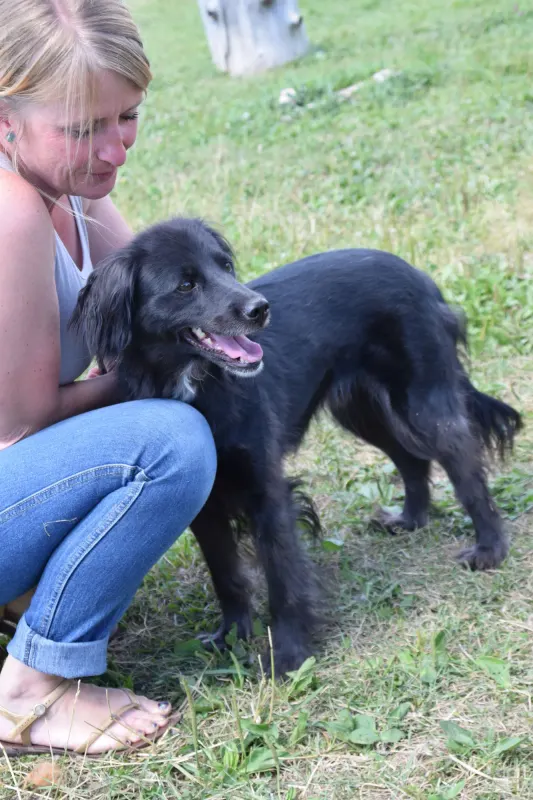 Nerka