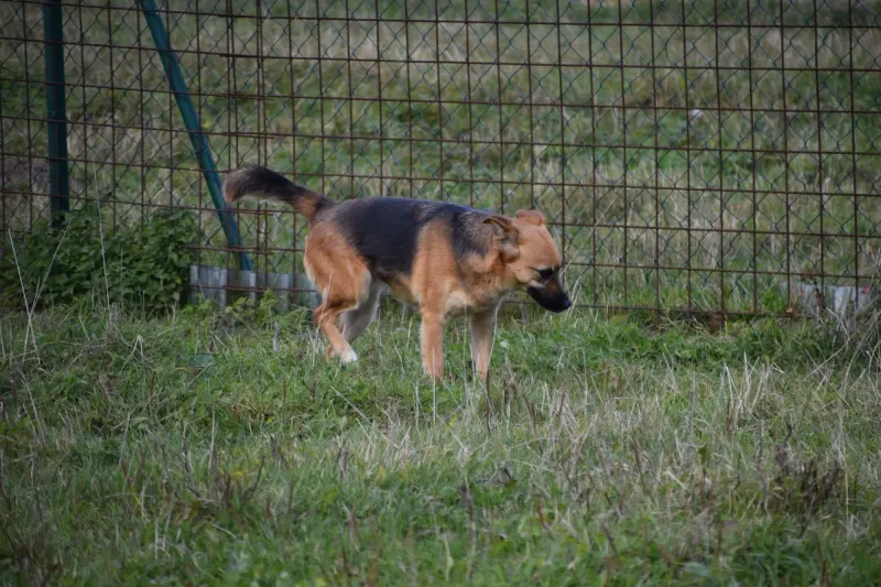 Nina