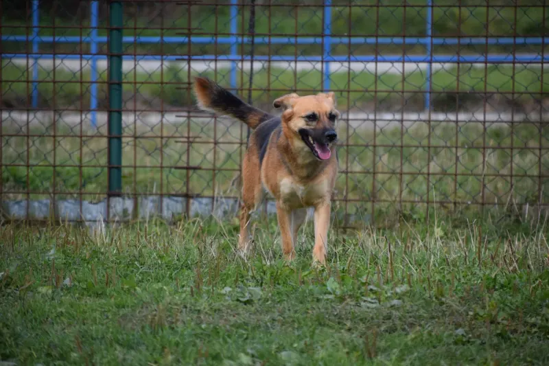 Nina