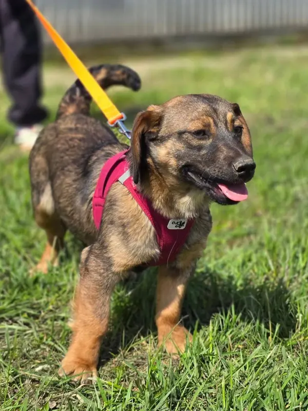 Nora