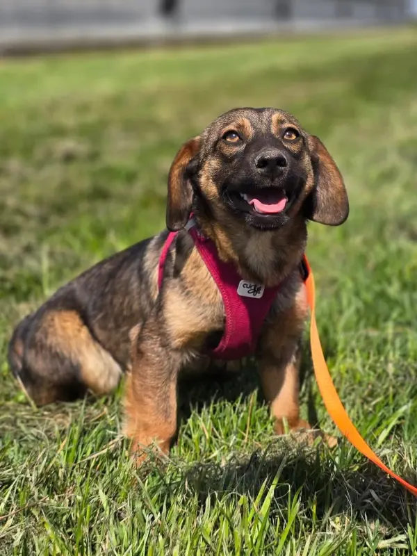 Nora