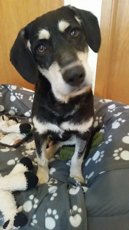 Oskar