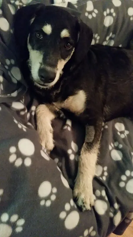 Oskar
