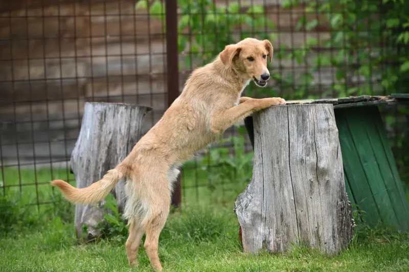 Pablo