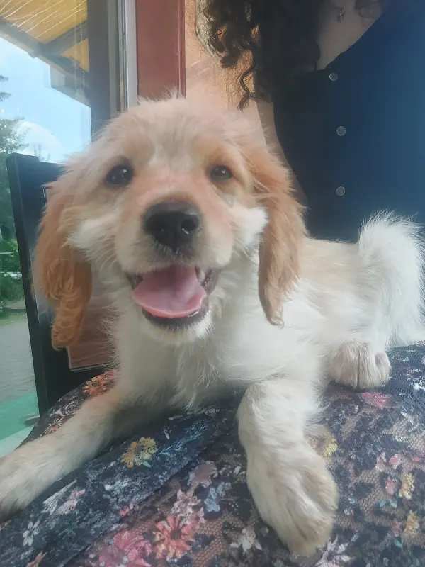 Pablo