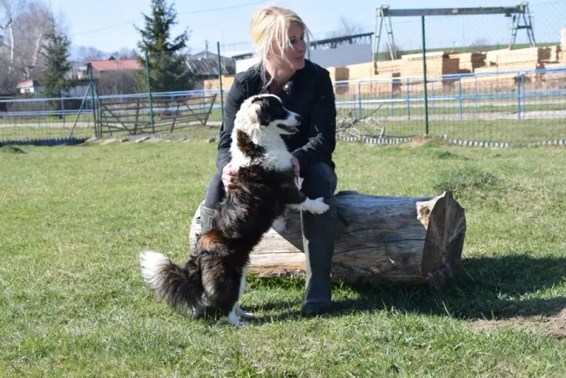 Panda2