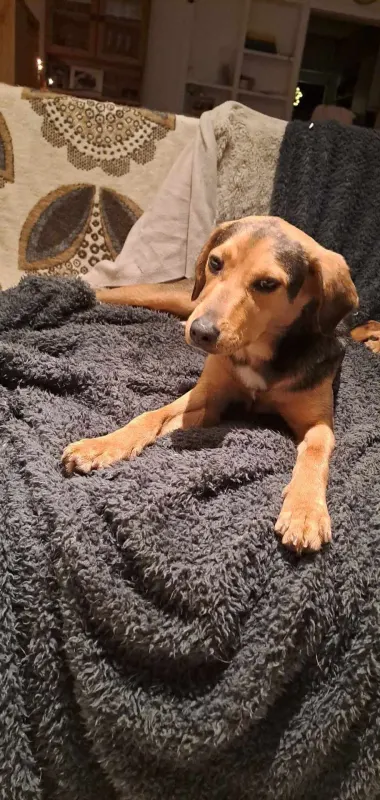 Ronja