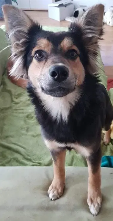 Roxy
