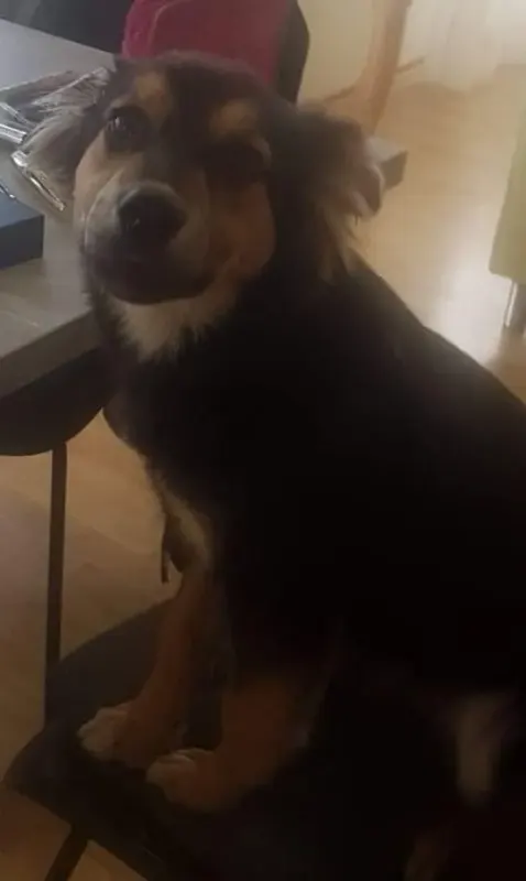 Roxy