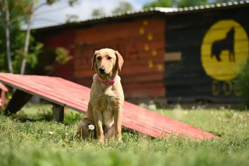 Ruby