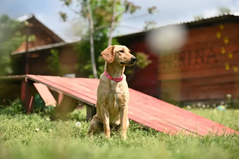 Ruby