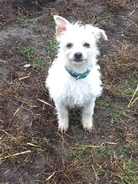 Sabrina