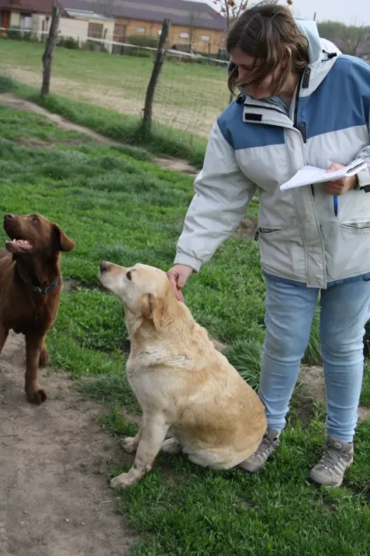 Schoko