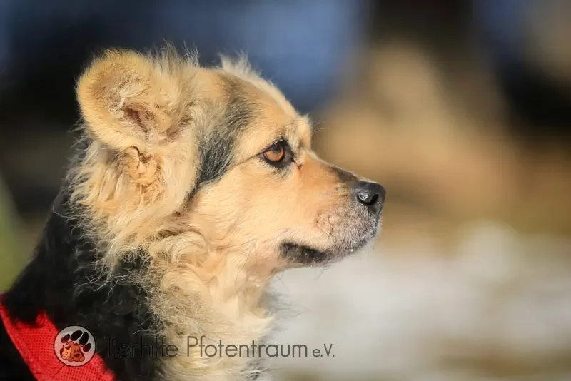 Tilly