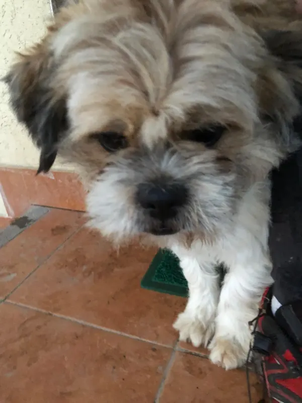 Toki